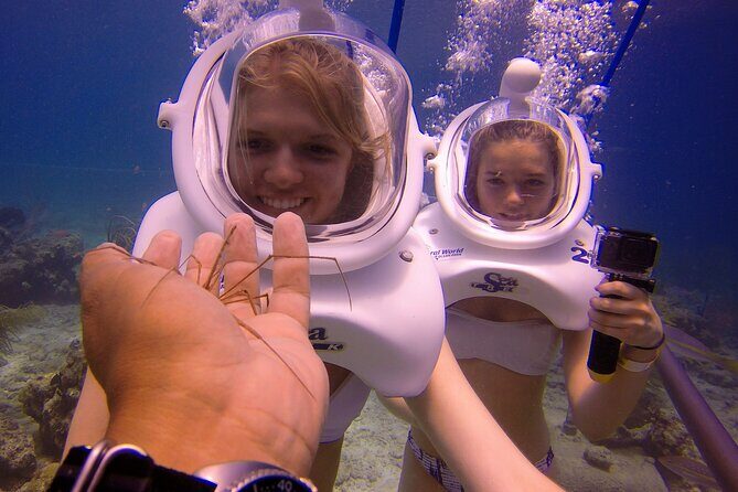 Sea Trek Helmet Dive at Coral World Ocean Park - The underwater trail: marine life, depth, and what you’ll see
