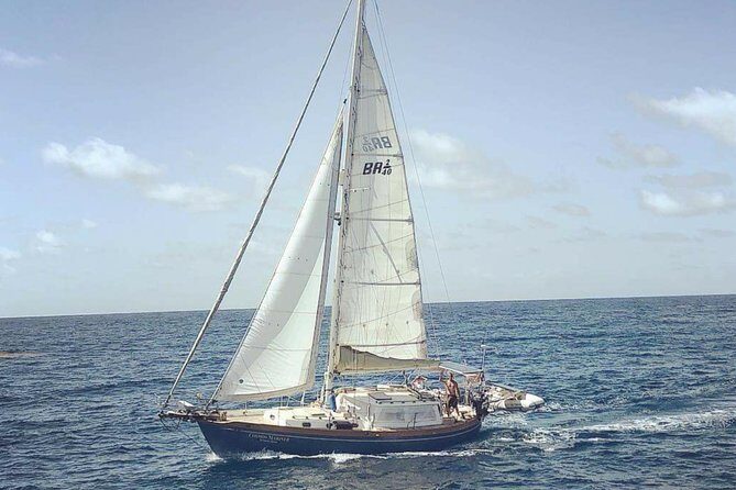 Simply Sailing Private Sail from Sapphire Marina - Key Points at a Glance
