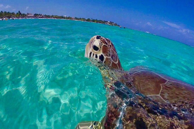 Snorkel St. John Tour from Sapphire and Margaritaville - Entering the Boat Day: St. Thomas to St. John, 9am to 3pm