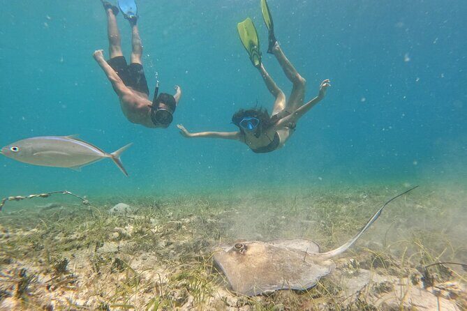 Snorkel St. John Tour from Sapphire and Margaritaville - Price and Value at $180: Why It Feels Like More Than Just Snorkeling