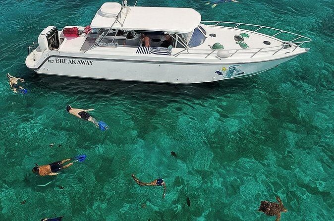 Snorkel St. John Tour from Sapphire and Margaritaville - The Crew Makes or Breaks It: Instruction, Safety, and Names to Watch For