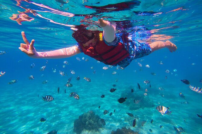 Snorkel St. John Tour from Sapphire and Margaritaville - Breakfast, Lunch, and an Open Bar: The On-Water Rhythm
