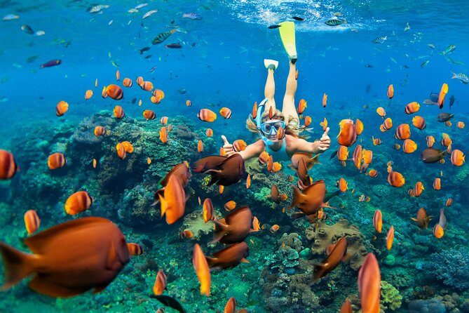 Snorkel & Swim with Turtles. Semi Private Tour to Buck Island & Honeymoon Beach - Key highlights worth getting excited about