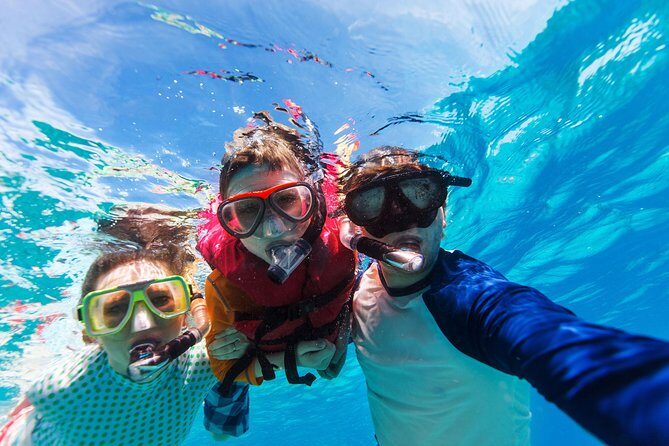Snorkel & Swim with Turtles. Semi Private Tour to Buck Island & Honeymoon Beach - Price and value: $160 for turtles, snorkeling gear, and included drinks