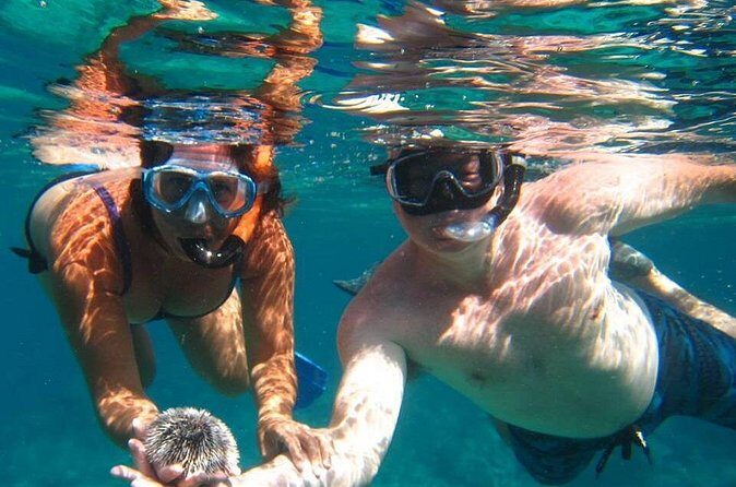 Snorkel Tour - Secret Harbour meets the Caribbean Sea on a 32ft Ocean Express