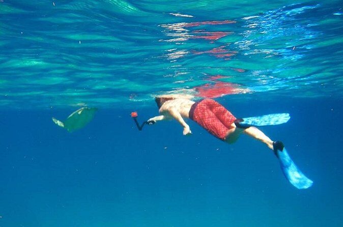 Snorkel Tour - Two snorkel stops for the price of one morning: what to expect