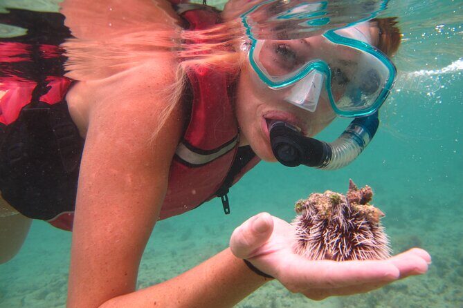 Snorkeling with Sea Turtles at St. Thomas - Brewers Bay: the calm-water start that makes snorkeling feel easy
