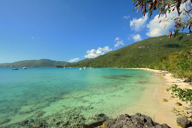 Snorkeling with Sea Turtles at St. Thomas - What you might see besides turtles (and how to look for it)