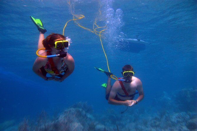 Snuba Adventure at Coral World Ocean Park - The 1 hour 30 minute flow: orientation, gear check, then reef time