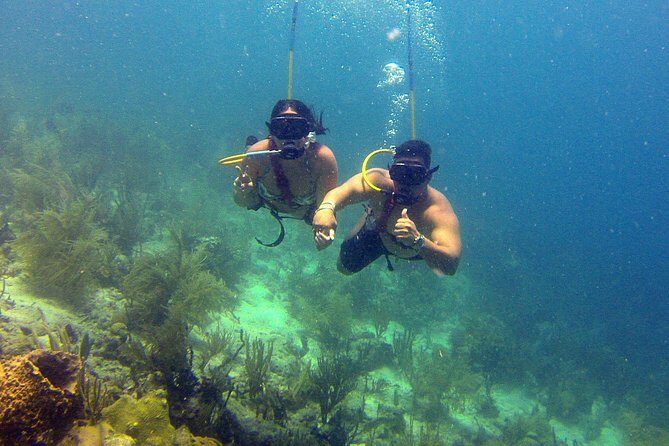 Snuba Adventure at Coral World Ocean Park - Why Snuba feels approachable: it’s scuba-like, without the training headache