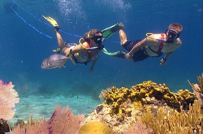 Snuba Adventure at Coral World Ocean Park - Comfort and style tips that make the tour better