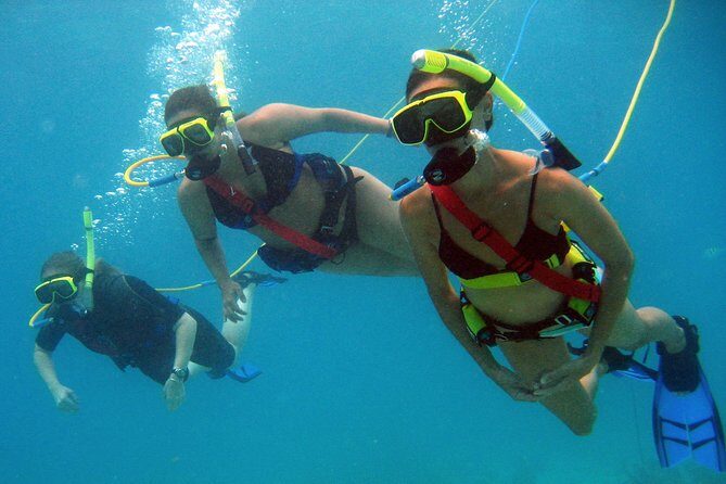 Snuba Adventure at Coral World Ocean Park - Rough-sea reality: when the experience can be less smooth