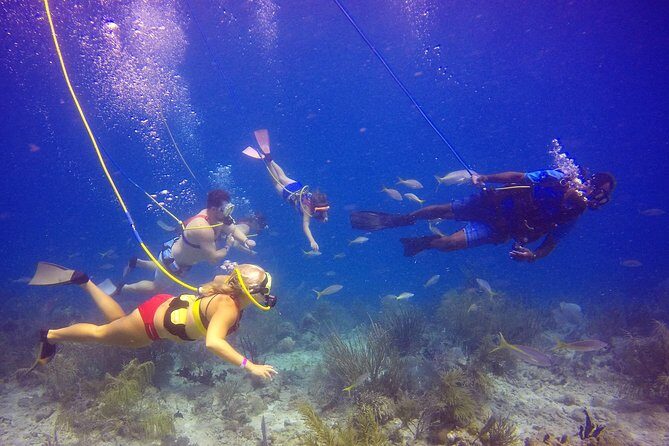 Snuba Adventure at Coral World Ocean Park - Who should book Snuba at Coral World (and who should pause)