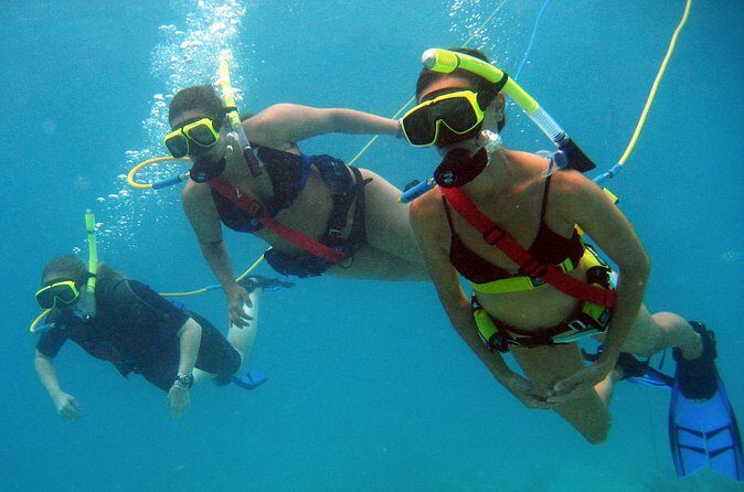 Snuba Adventure at Coral World Ocean Park - Price and value: why $102 can make sense here