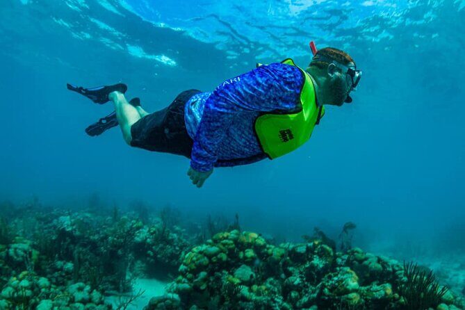 St. James Snorkel & Pizza Pi Lunch - A 3.5-hour St. James reef day that actually feels easy