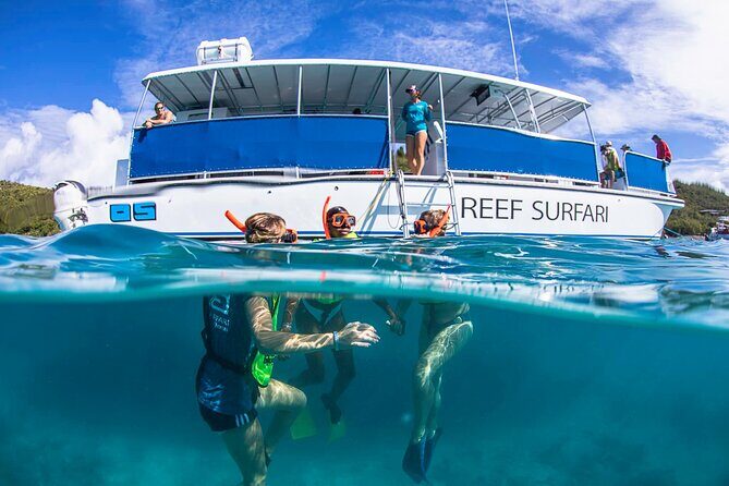 St. James Snorkel & Pizza Pi Lunch - Little St James snorkel: your first reef fix