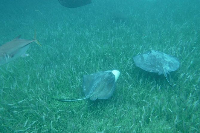 St John & Surrounding Cays - Full-Day Sail/Snorkel, 6 Guests Max - The Sail Out: How the Crew Helps You Avoid Crowds