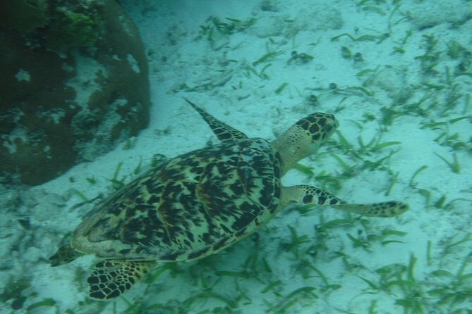 St John & Surrounding Cays - Full-Day Sail/Snorkel, 6 Guests Max - Lunch on the Water and the Open Bar