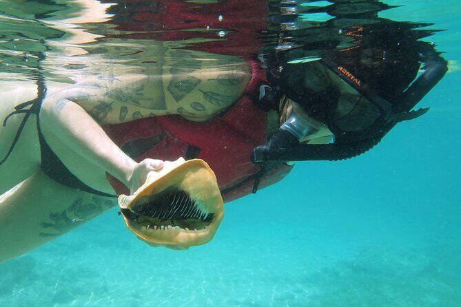 St Thomas Kayak and Sea Turtle Snorkel Excursion - Why this St Thomas sea turtle kayak trip is such a good half-day