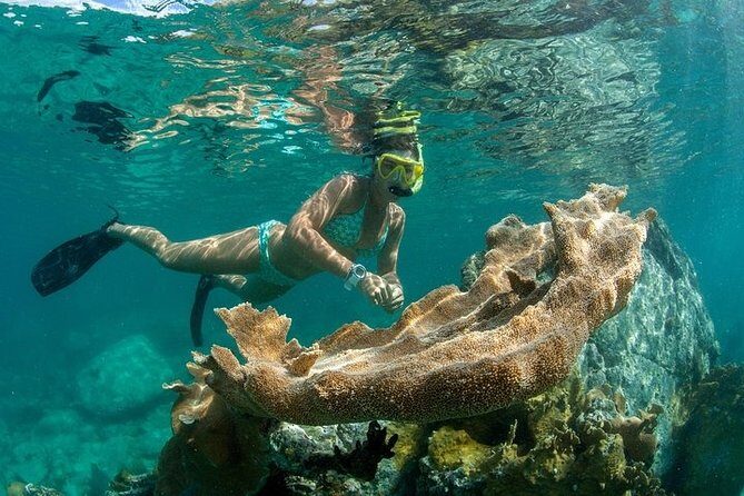 St. Thomas Lime Out Snorkel with Taco Bar Lunch & Swim-Up Bar - Ritz-Carlton - Ritz-Carlton pickup at 8:00 am and what to plan for