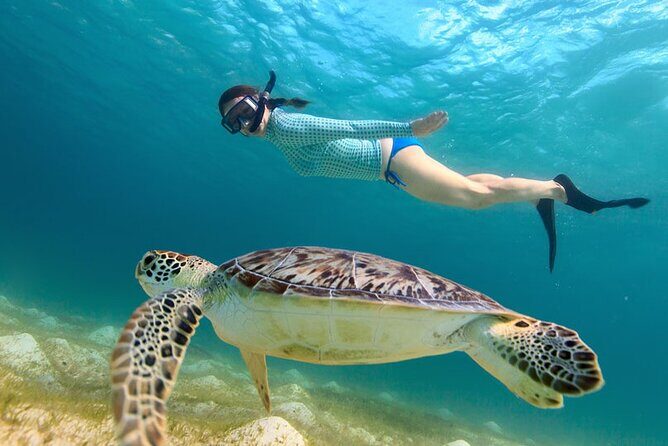 St. Thomas Maho Bay Turtle Snorkel Sail - Ritz-Carlton - Getting on board at the Ritz-Carlton without a bunch of hassle