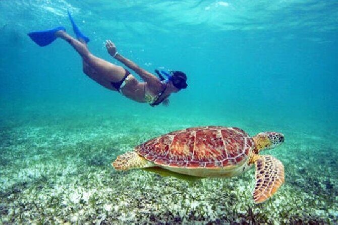 St. Thomas Maho Bay Turtle Snorkel Sail - Ritz-Carlton - The in-between break: picnic lunch on board while the boat keeps moving