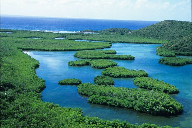 St Thomas Mangrove Lagoon Kayak and Snorkel Tour in the US Virgin Islands - The kayak loop: mangrove channels, Patricia Cay, and Long Point
