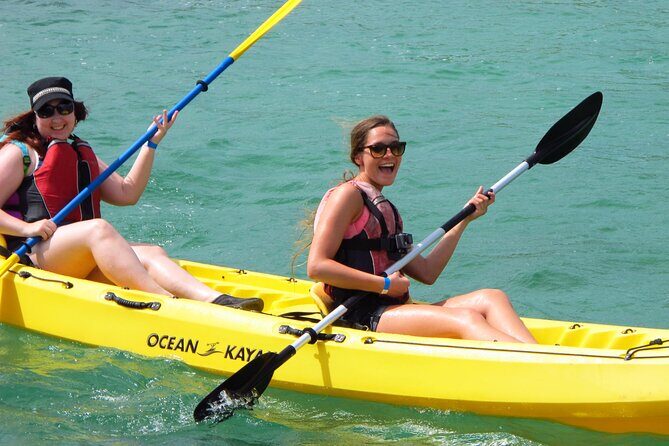 St Thomas Mangrove Lagoon Kayak and Snorkel Tour in the US Virgin Islands - Wildlife spotting: what you can realistically hope to see