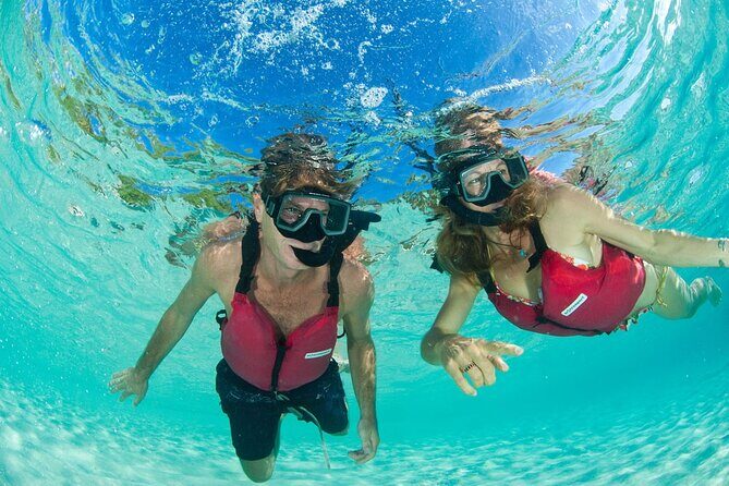 St Thomas Mangrove Lagoon Kayak and Snorkel Tour in the US Virgin Islands - How hard is it, really? Pacing, comfort, and kid-friendliness