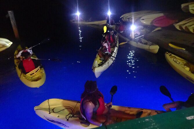 St Thomas Night Kayak Tour - What you might see after dark: tarpon, stingrays, and more
