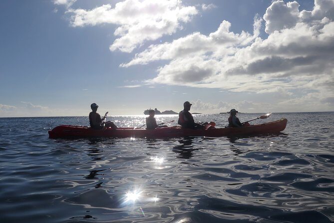 St Thomas Sea Turtle Snorkel Kayak Adventure Tour - Small Group Coaching: What a Cap of 6 People Changes