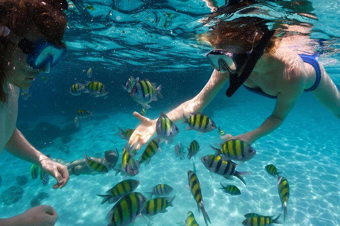 St Thomas~St John Snorkel, Swim & Beach Trip on MV Island Flyer - Snorkel stops around St John and nearby cays: reefs, turtles, and the fish buffet