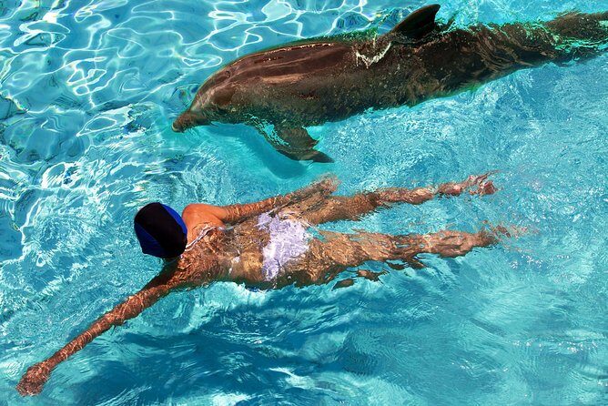 St Thomas~St John Snorkel, Swim & Beach Trip on MV Island Flyer - The captains make the day: what to look for when you board