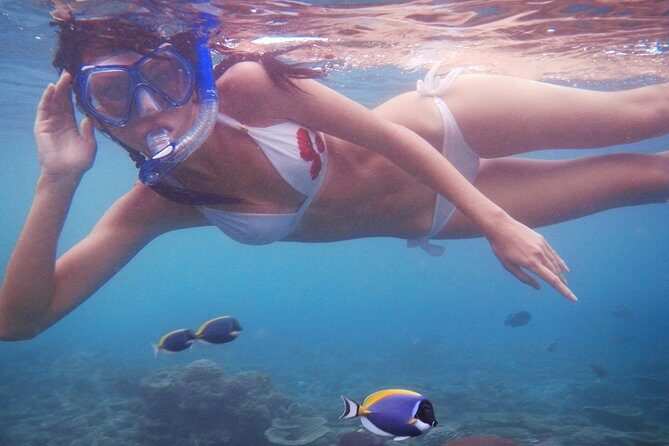 St Thomas~St John Snorkel, Swim & Beach Trip on MV Island Flyer - Who this trip suits best (and who should think twice)