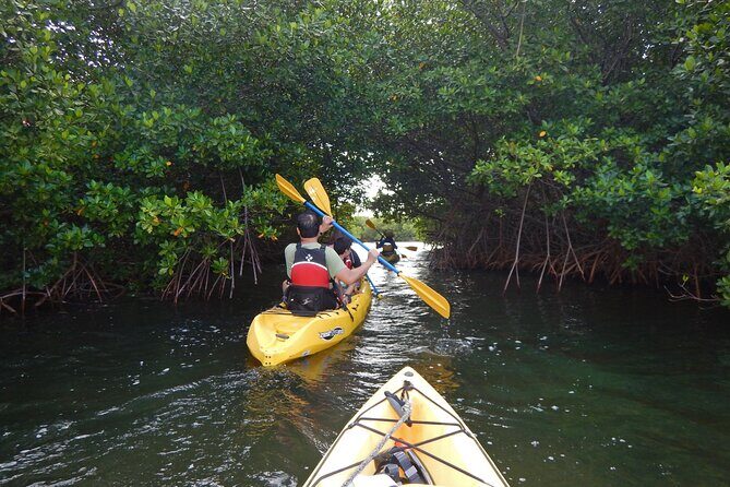 Sunset Kayak Tour in the Mangrove Lagoon, St Thomas - Key Things That Make This Sunset Kayak Tour Special