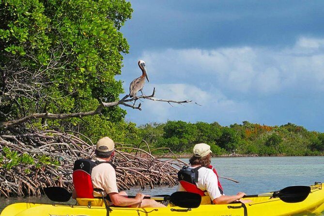 Sunset Kayak Tour in the Mangrove Lagoon, St Thomas - Your 90-Minute Paddle: Mangrove Channels to Bird Island and Bovoni Cay