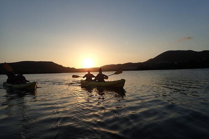 Sunset Kayak Tour in the Mangrove Lagoon, St Thomas - Price and Value: Does $59 Really Add Up?