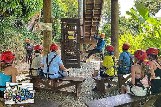 Tree Limin' Extreme Zipline - Entering Tree Limin’ Extreme in St. Thomas: What the rainforest course really feels like
