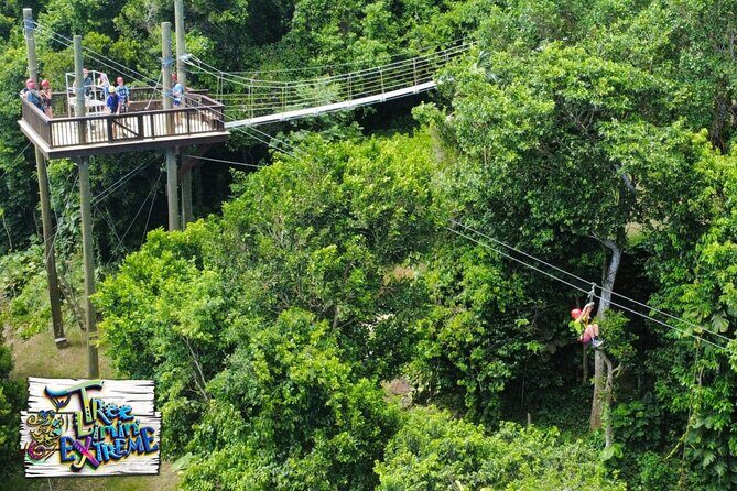 Tree Limin' Extreme Zipline - Six zip lines, two sky bridges, and the Yo-Yo moment you’ll talk about