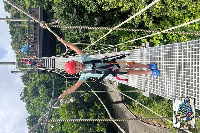 Tree Limin' Extreme Zipline - Ocean views from the canopy: what you’re seeing (and how to make it easier on yourself)