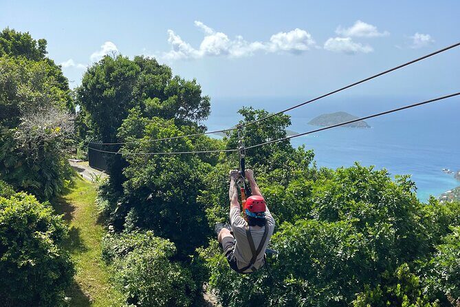 Tree Limin' Extreme Zipline - Price and time: is $155 worth it, practically?