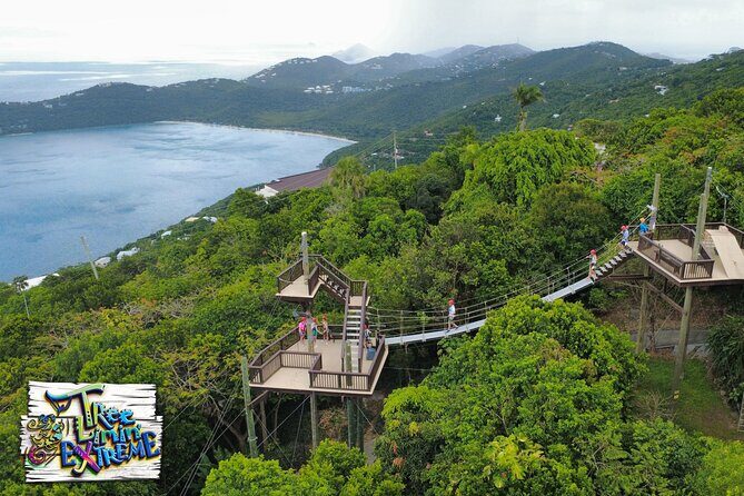 Tree Limin' Extreme Zipline - Who should book this zipline (and who should rethink it)