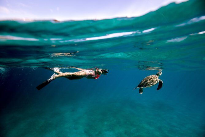 Turtle Cove Catamaran Snorkel and Sail at Little Buck Island STT - Key things that make this Turtle Cove snorkel sail worth your time