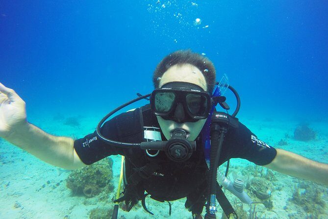 Two-Tank Dive for Certified Diving in St Thomas - Check-in, waivers, and your certification proof