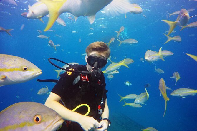 Two-Tank Dive for Certified Diving in St Thomas - Two underwater sessions: how the day actually flows