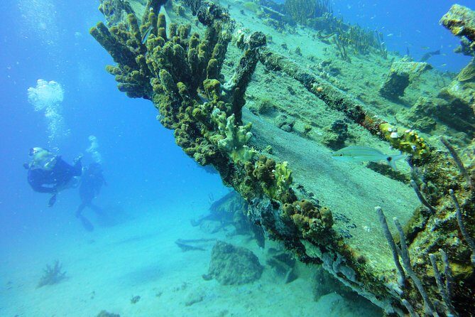 Two-Tank Dive for Certified Diving in St Thomas - The sites you might see: reefs, wreck areas, and canyon-style scenery