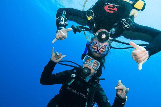 Two-Tank Dive for Certified Diving in St Thomas - Price and timing: what $189 buys you in 3.5 hours