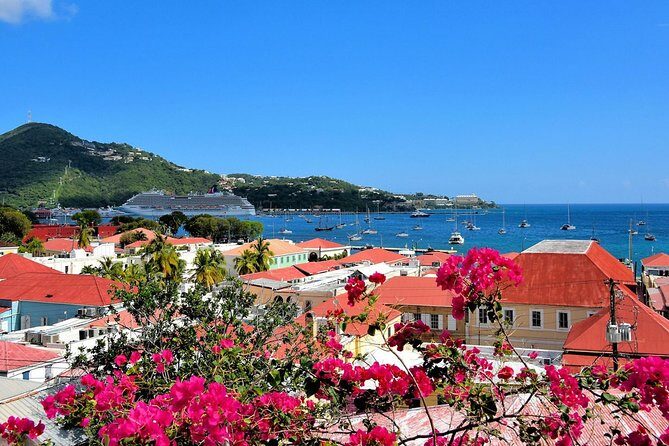 Vi Top Taxi &Tours USVI-St Thomas Private Group-Island Tour - How the 6-hour schedule really works for groups of 1 to 14